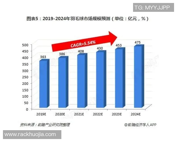 乒乓球运动发展历程及其在全球范围内的影响与普及分析