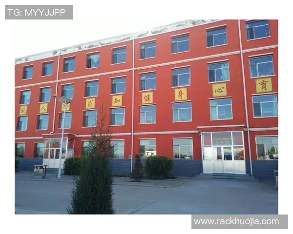 聚焦绿茵传奇足球巨星成长与荣耀全景解读时代风云篇辉煌征程纵横