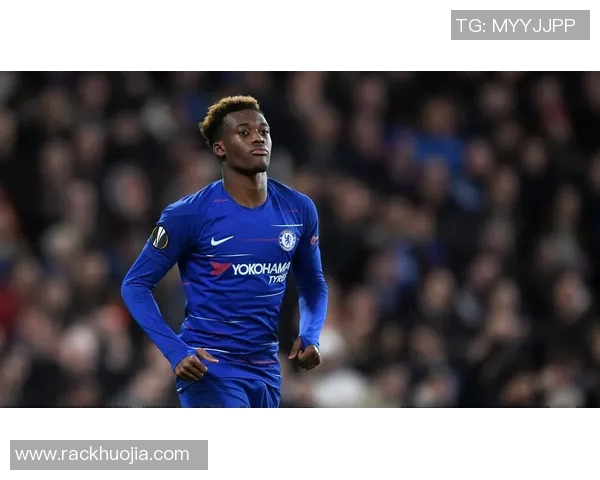 足球竞技的魅力与挑战探索全球足坛发展趋势与未来发展方向